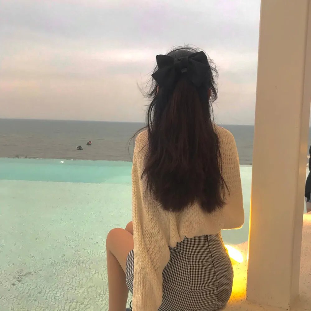 我是霸王龙